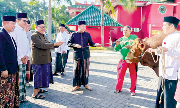 SALURKAN: Pada momen Idul Adha tahun ini, Pemkab Pasuruan menyalurkan 21 ekor sapi dan 107 kambing. Tampak Bupati Pasuruan, HM Rusdi Sutejo menyerahkan seekor sapi ke pengurus Masjid Cheng Hoo Pandaan