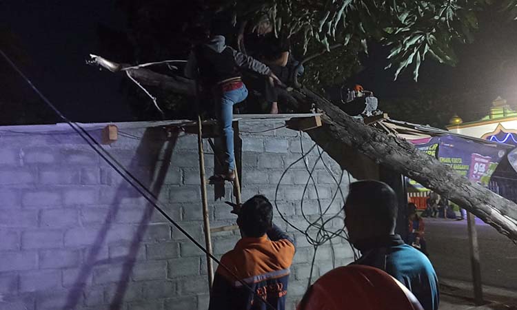 EVAKUASI: Petugas saat mengevakuasi pohon tumbang di Jrebeng Lor, Kedopok, Kota Probolinggo.