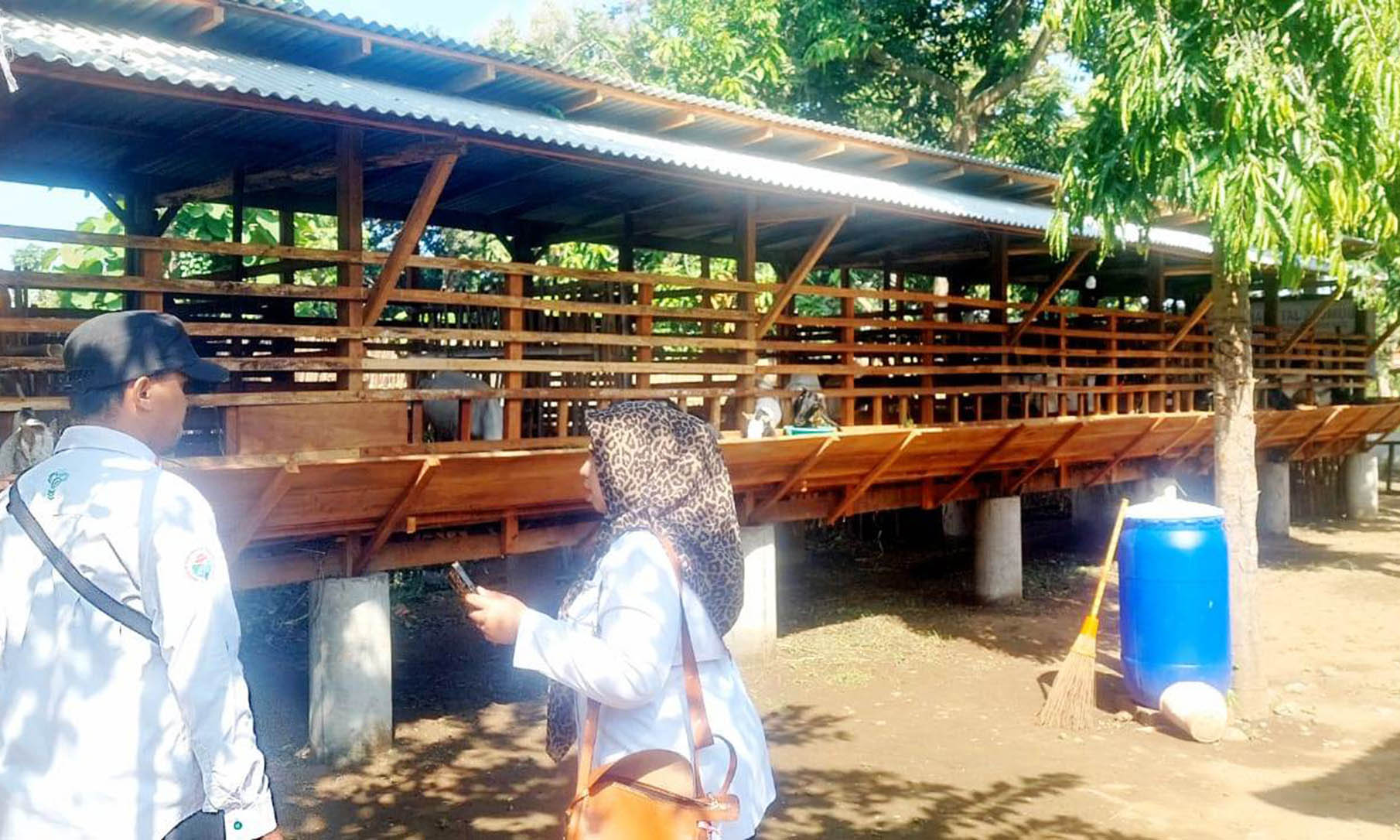 PETERNAKAN: Sejak Mei, Pemdes Kandangjati Wetan mendirikan unit usaha peternakan kambing yang dikelola BUMDes Jati Makmur. Unit usaha ini melibatkan pemuda desa.