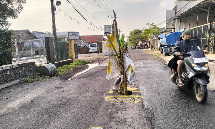 TANAMI PISANG: Jalan di Plintahan, Kecamatan Pandaan, Kabupaten Pasuruan, yang jebol. Untuk menghindari pengendara terperosok, warga memasanginya dengan pohon pisang sebagai penanda.