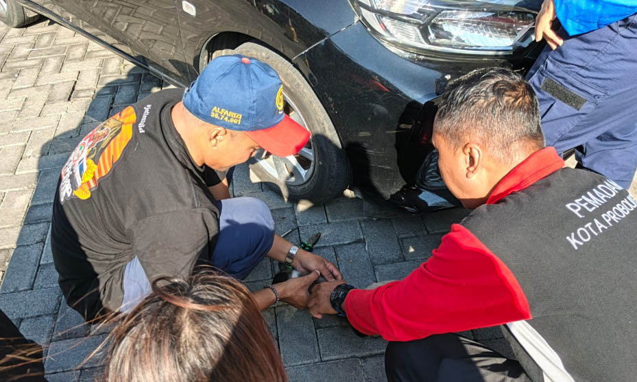 EVAKUASI: Petugas Damkar Satpol PP Kota Probolinggo lakukan evakuasi kucing masuk kap mesin mobil, Jumat (18/7) pagi.