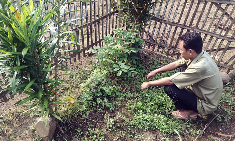 ALAMI: Keberadaan Makam Mbah Soleh dibiarkan alami. Hal ini, untuk menjaga kemurnian kawasan setempat.