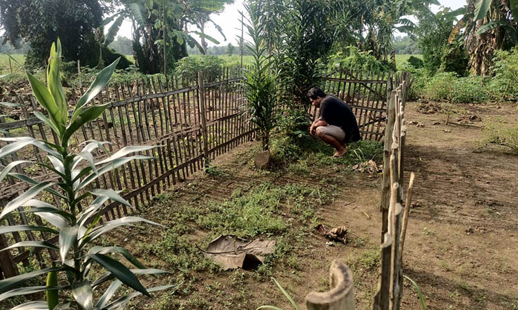 PENINGGALAN: Makam Mbah Soleh yang masih dikunjungi warga untuk berkirim doa. Mbah Soleh merupakan sosok yang dikenal sakti.