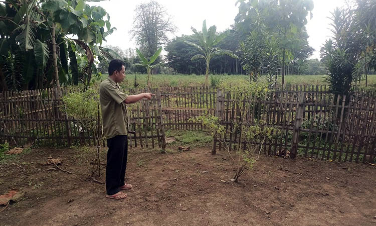 PUSAT: Selain menjadi nama desa, sekitar makam Mbah Soleh dahulunya merupakan pusat pemerintahan desa Karang Tengah.