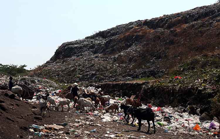 MENGGUNUNG: Tumpukan sampah di TPA Bestari Kota Probolinggo, semakin menggunung.