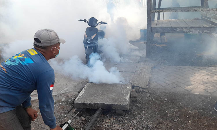 KASUS MENONJOL: Petugas melakukan fogging di Kecamatan Pajarakan. Petugas terus memantau wilayah temuan demam berdarah.