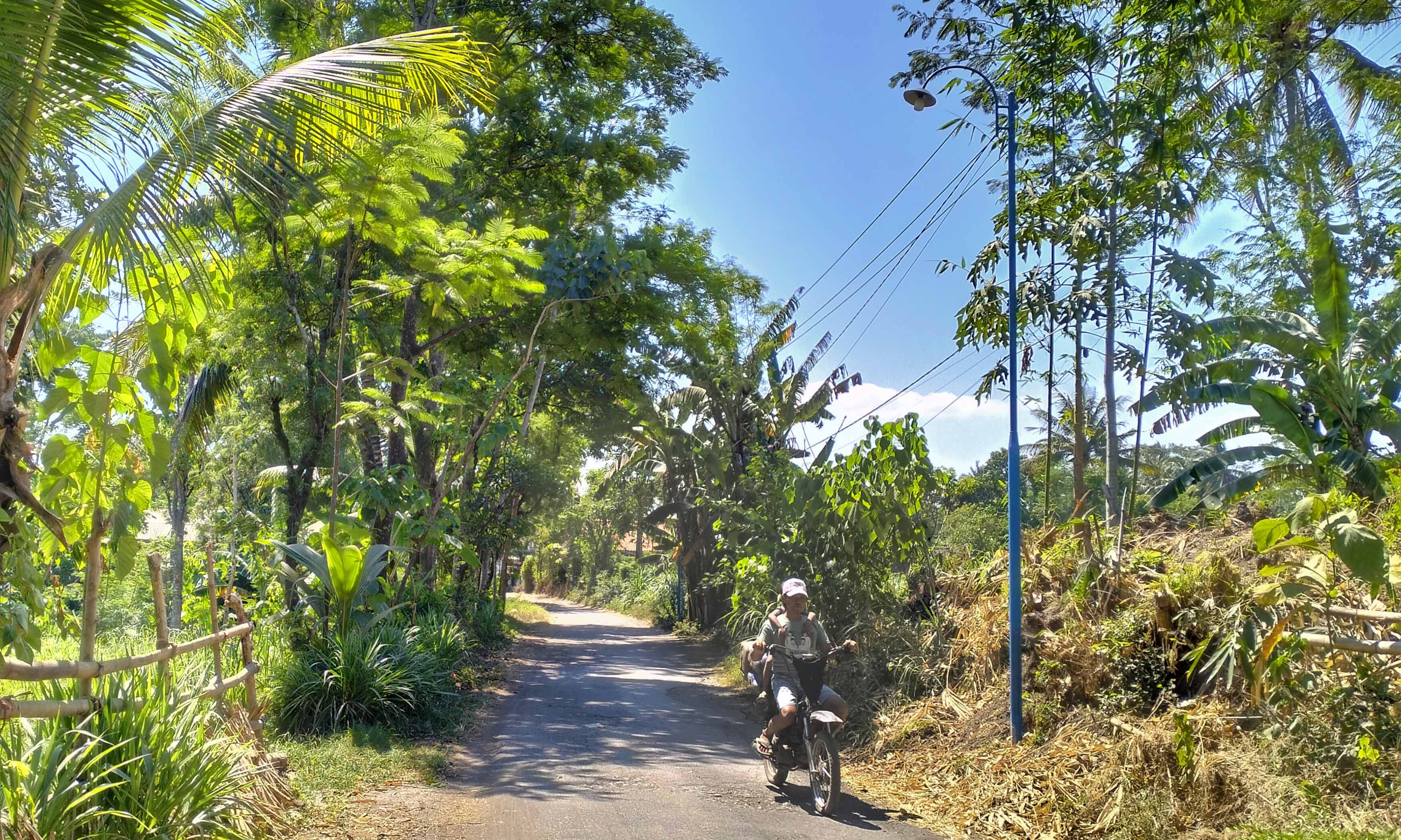 LEBIH AMAN: Seorang warga melintas di jalan RT 7/RW 1, Dusun Komirian menuju RT 4/RW 2, Dusun Karang Tengah, yang dilengkapi PJU.