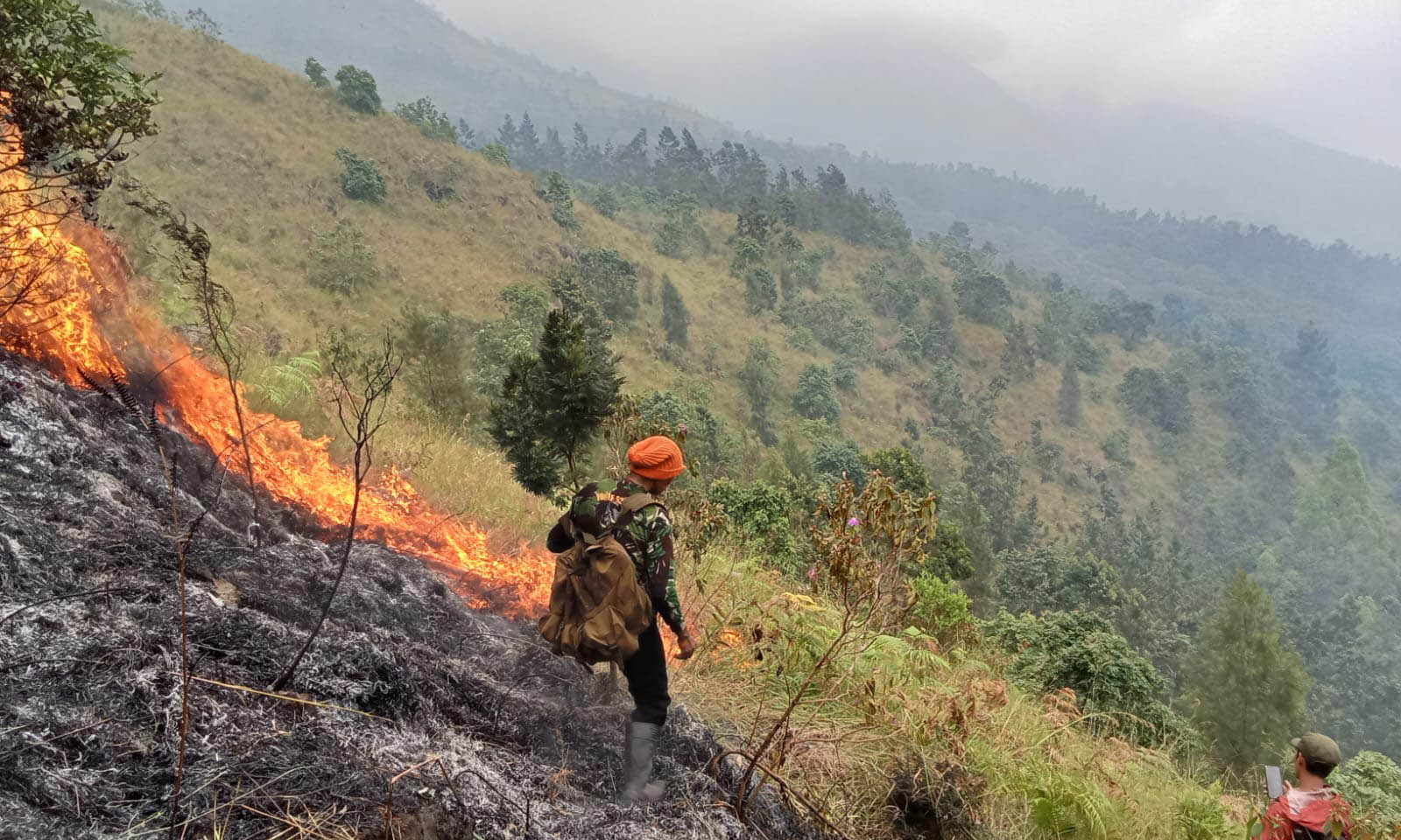 SEBELUM PADAM: Relawan dan warga melakukan pemadaman api kebakaran hutan di Putuk Lembu, lereng Gunung Arjuno, Kecamatan Prigen.