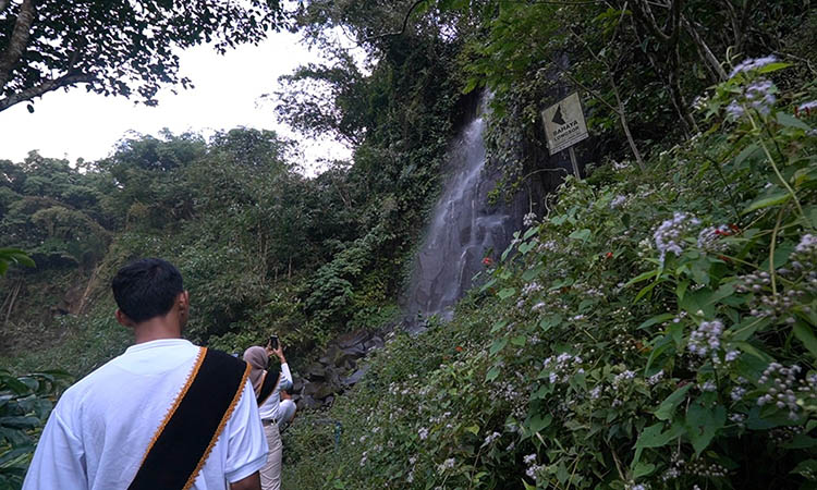CANTIK: Penampakan air terjun Jaran Goyang yang disebut-sebut mirip dengan air terjun Dewi Rengganis.