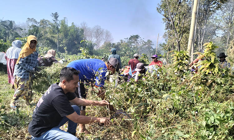 KOMPAK: Kepala Desa Sentulan Fathur Rohman bersama perangkat desa dan warga melakukan bersih-bersih di RT 3/RW 1, Dusun Mangga. Lahan ini akan difungsikan sebagai