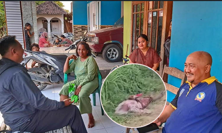 MEDIASI: Pendamping TKSK Dinas Sosial Kabupaten Probolinggo saat melakukan mediasi di rumah Misrika di Dusun Talang, Desa Jambangan, Kecamatan Besuk. Inset, No Taji yang dite