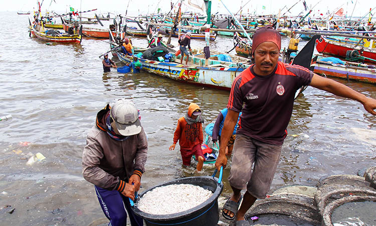 ANGKUT: Nelayan asal Lekok, Kabupaten Pasuruan saat mengangkat ikan hasil tangkapan. Selama semester pertama tahun ini, tangkapan ikan melonjak. Sayang, harga jual ikan merosot.