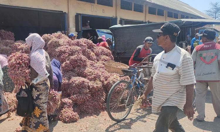 TRANSAKSI: Kegiatan para penjual dan pembeli di pasar bawang Dringu