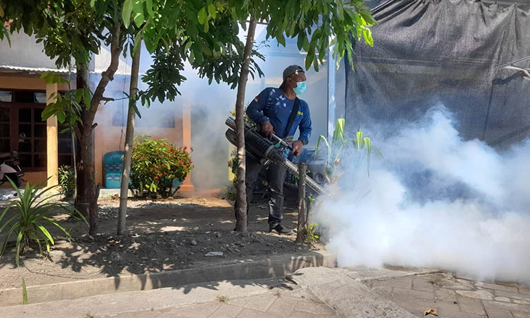 TEKAN DBD: Petugas melakukan fogging di Kecamatan Pajarakan untuk menekan temuan penyakit DBD.