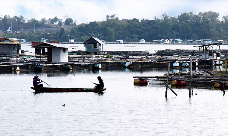 MELIMPAH: Kawasan Ranu Grati yang banyak dimanfaatkan warga untuk budidaya ikan. Selama semester pertama tahun ini, tercatat produksi ikan cukup menjanjikan.