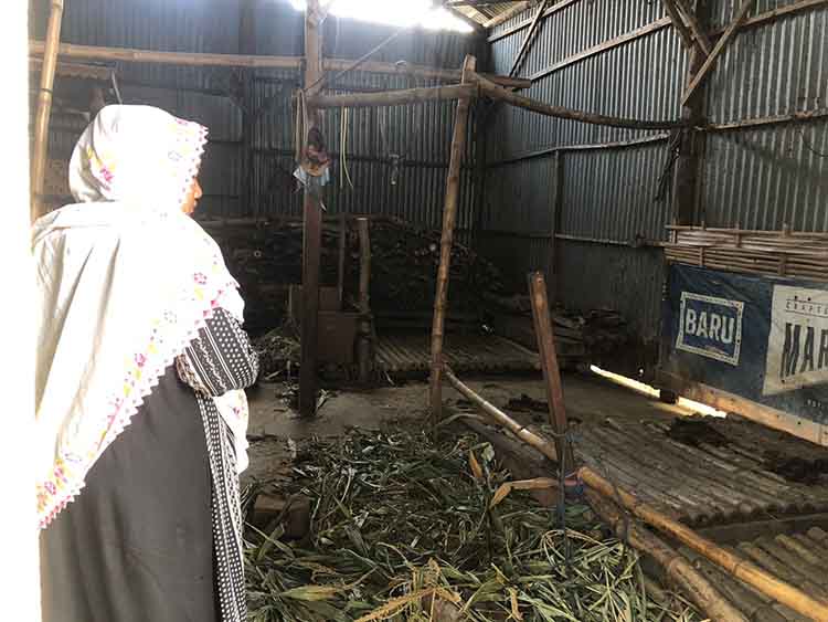 RAIB: Rodiah, menunjukkan lokasi kandang tiga sapinya di Kelurahan Kareng Lor, Kecamatan Kedopok, yang raib dimaling Kamis (14/8).