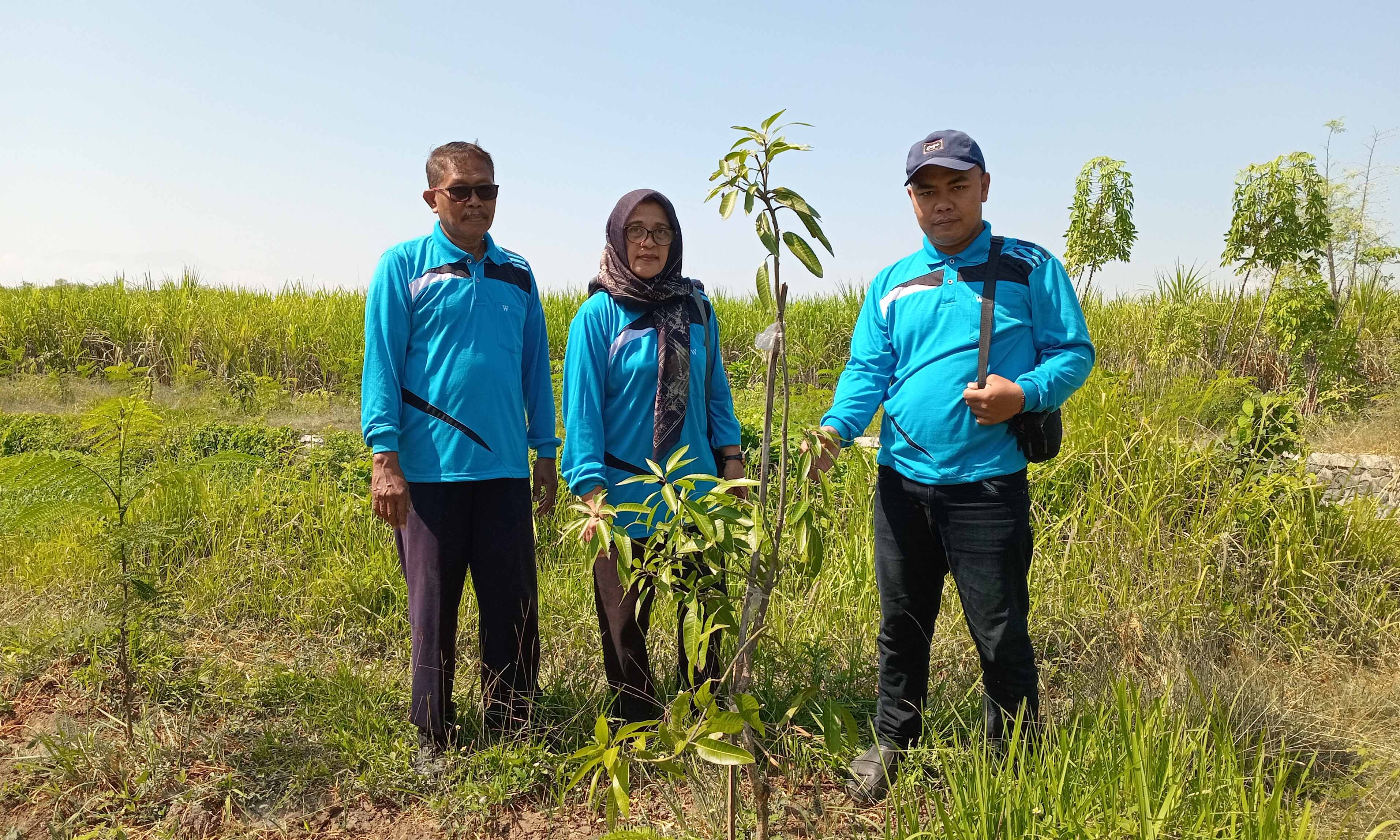 DESA TAMATIK HIJAU: Kepala Desa Jatiadi Tutik Suhartiyah menunjukan bibit mangga yang ditanam di Dusun Krandon Wetan RT 20/RW 9.