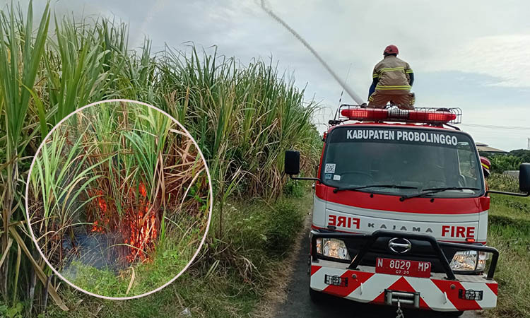 SEBELUM PADAM: Personel damkar menyiram lahan di Desa Pikatan yang terbakar, Selasa (19/8) sore.
