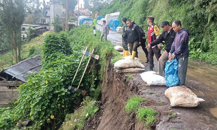 AMBROL: Bahu Jalan penghubung Desa Wonokitri - Desa Podokoyo, Kecamatan Tosari yang longsor karena terjangan air hujan. BPBD Kabupaten Pasuruan, mengimbau masyarakat tetap waspada.