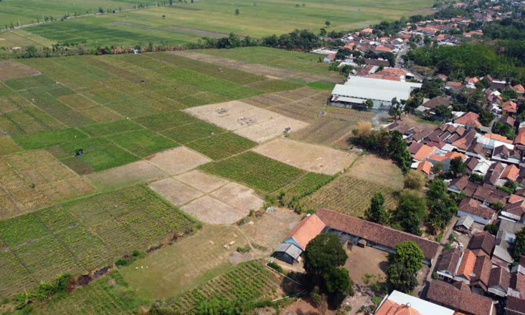 SUBUR: Pertanian menghiasi kawasan desa setempat.