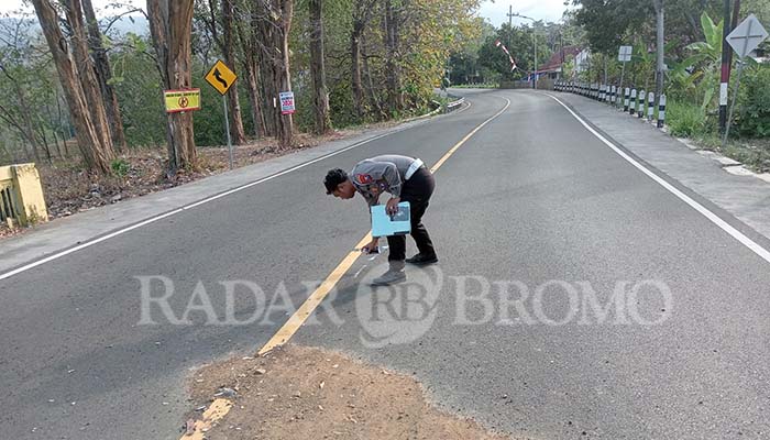 OLAH TKP: Petugas saat melakukan olah TKP kecelakaan maut pasutri asal Situbondo di jalur Bromo Boto, Probolinggo.