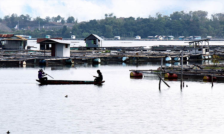 SEMERAWUT: Keberadaan kerambah di Ranu Grati yang masih semrawut. DED untuk penataan kerambah setempat, sebenarnya sudah disiapkan. Sayang, belum bisa dijalankan.