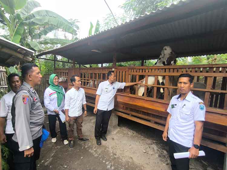 SUMBER PAD: Kepala Desa Karangren Subandi (dua dari kanan) melihat ternak yang dikembangkan melalui program ketahanan pangan.