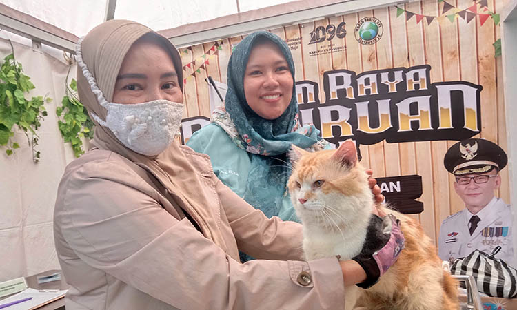 LAYANAN PUBLIK: Pemeriksaan kesehatan hewan yang dilakukan salah satu pengunjung di stan pelayanan publik Dinas Peternakan dan Kesehatan Hewan Kabupaten Pasuruan di event Pekan Raya.