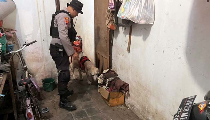 STERILISASI: KBO Sat Samapta Polres Probolinggo Kota Aiptu Febriyanto Eka bersama anjing K9 saat melakukan sterilisasi di rumah tersangka Ilmi (bukan nama sebenarnya) di Desa Mentor, Sumberasih.