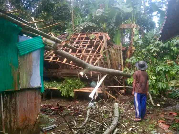 TUMBANG: Pohon sengon tumbang menimpa rumah warga Desa Ranuagung, Kecamatan Tiris, Mursyid.