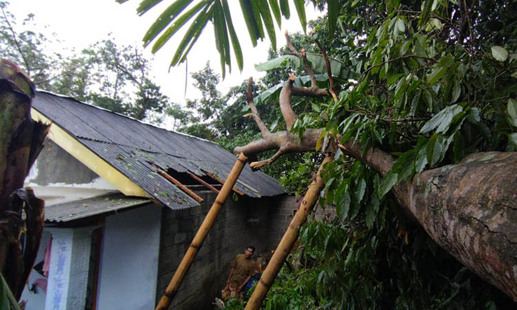 GANGGU JARINGAN: Selain merusakkan atap rumah warga, angin kencang juga menumbangkan beberapa pohon di wilayah Pasrepan.
