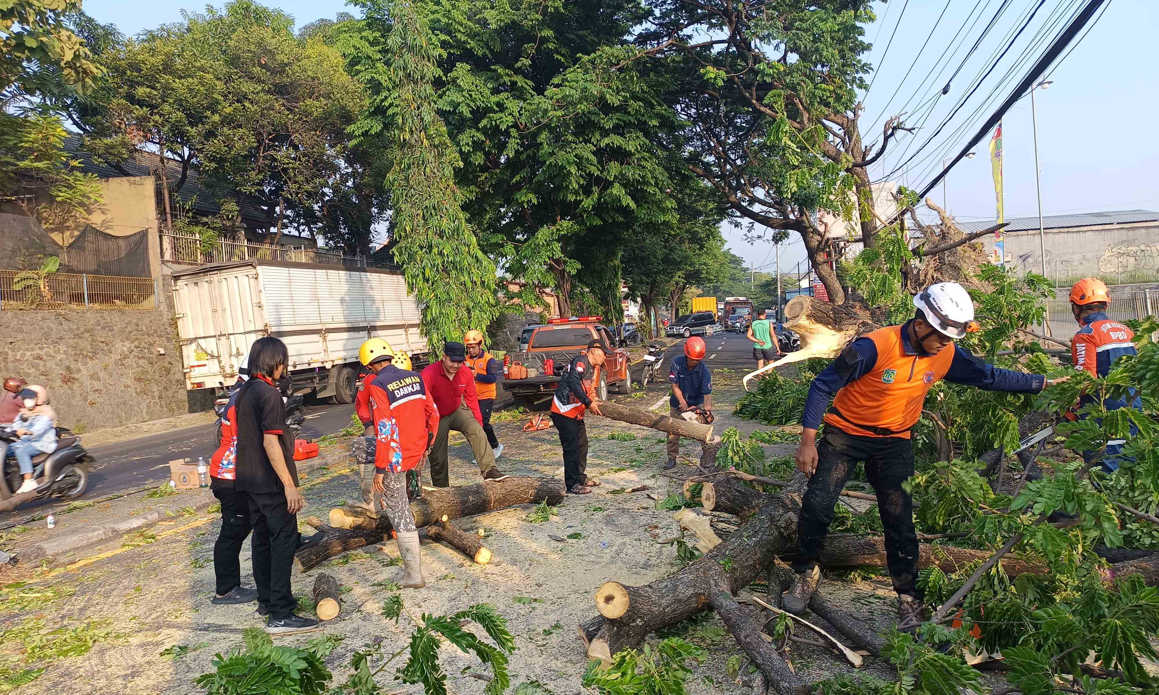 EVAKUASI: Sejumlah personel gabungan saat proses evakuasi pohon tumbang di By Pass Pandaan, Lingkungan Macanan, Kelurahan Petungasri, Kecamatan Pandaan. Pohon tersebut tumbang, usai disenggol kontaine