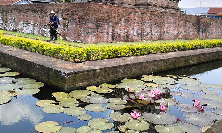 MENAWAN: Kolam yang terbangun di sekitar Candi Jawi tampak begitu eksotik. Terlebih dengan tanaman teratai yang menghiasi.