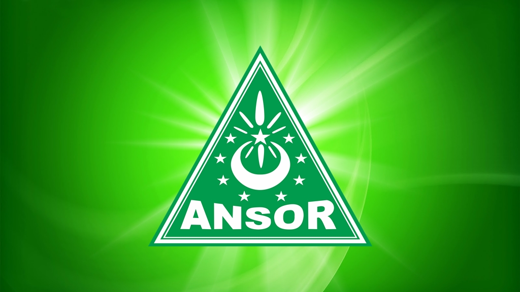 Logo Ansor