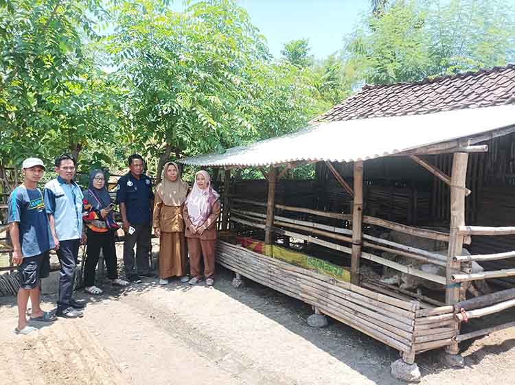 KETAHANAN PANGAN: Kepala Desa Sumbersuko, Rini Handayani&nbsp; (kanan) memantau peternakan kambing yang dikelola BUMDes.