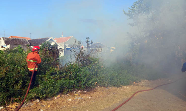 PADAMKAN: Petugas Damkar saat berusaha untuk menjinakkan api yang membakar lahan di kawasan Kelurahan Bugul Lor, Kecamatan Bugul Kidul, Kota Pasuruan.