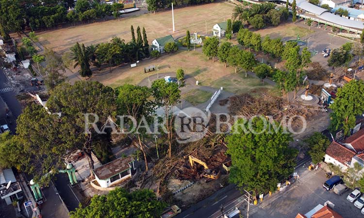 DIREVITALISASI: Kondisi pepohonan di Alun-alun Probolinggo yang ditebang terimbas revitalisasi.