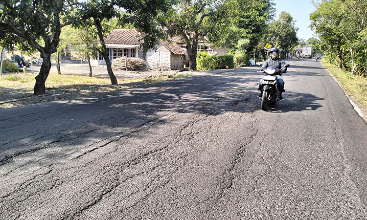 BAKAL DIBENAHI: Kerusakan aspal jalan kabupaten di Desa Wonokerto, Kecamatan Sukorejo, yang tahun ini bakal dirigid.