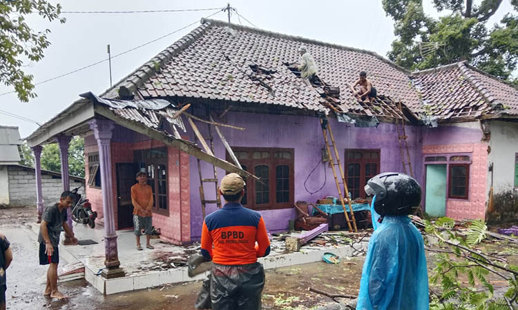 KENA ATAP: Warga dan personel BPBD membenahi atap rumah warga yang rusak karena tertimpa pohon petai yang tumbang usai diterpa hujan lebat di Desa Negororejo, Kecamatan