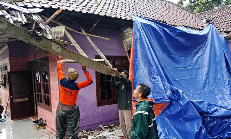 TUMBANG: Personel BPBD menutupi atap rumah warga di Desa Negororejo, Kecamatan Lumbang yang rusak setelah pohon petai tumbang dan mengenai atap, Rabu (22/10)