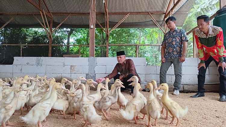 KETAHANAN PANGAN: Pj Kepala Desa Karanganyar Edi Kusnanto (jongkok) bersama Bendahara Desa Cholilur Rohman melihat pengembangan ketahanan pangan bebek pedaging.