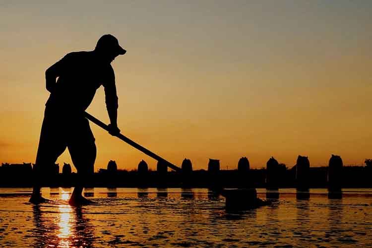 PANEN: Salah seorang petani garam di Kota Pasuruan memanen garamnya beberapa waktu lalu.