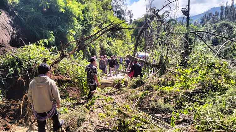 EVAKUASI: Petugas BPBD Kabupaten Probolinggo mengevakuasi pohon tumbang di Desa Wonokerto, Kecamatan Sukapura, Sabtu (1/11).