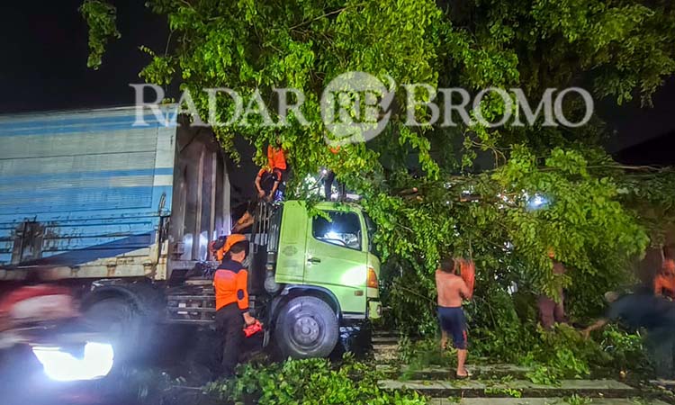 EVAKUASI: Kondisi truk kontainer tertimpa pohon tumbang di Bukir, Gadingrejo, Kota Pasuruan. (Mokhamad Zubaidillah/ Radar Bromo)