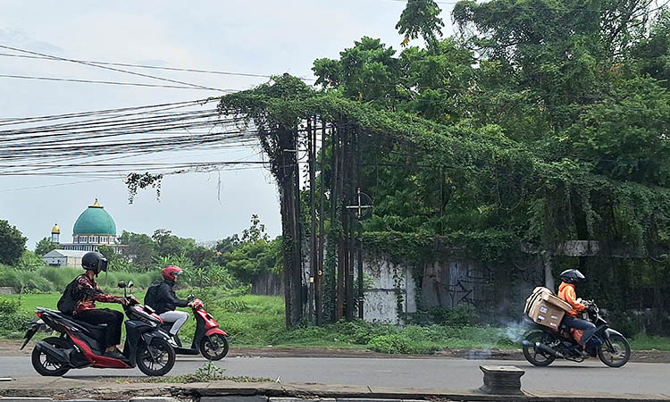BAK HUTAN: Keberadaan kabel yang banyak dililiti tumbuhan merambat. Tampilannya, bak hutan kabel.