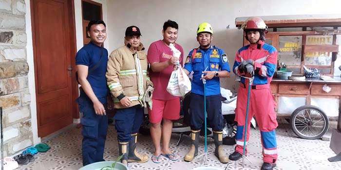 EVAKUASI: Petugas Damkar Satpol PP Kota Probolinggo mengevakuasi ular king koros di Kelurahan/Kecamatan Kanigaran, Rabu (5/11).