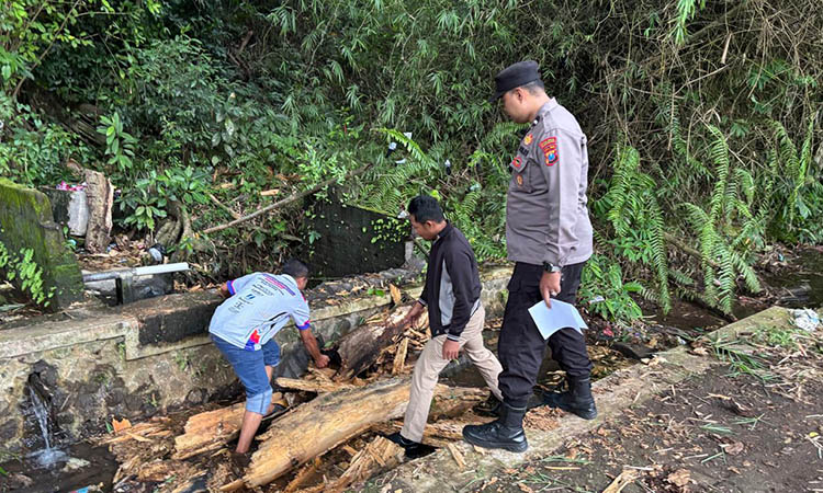 TKP: Pohon roboh dan menimpa warga saat mencuci baju di Sumber Mentiran, Dusun Kebunjati, Desa Sentul, Kecamatan Purwodadi.