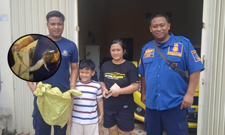 Biawak yang masuk ke rumah warga di Taman Asri, Kecamatan Purworejo.