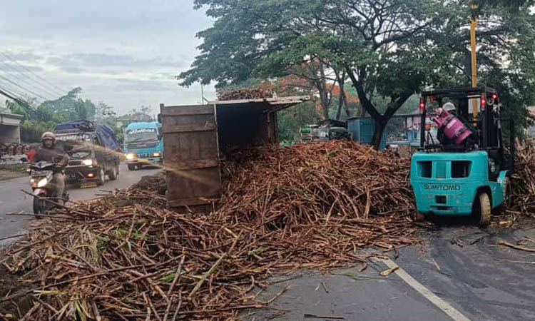 PAKAI FORKLIFT: Evakuasi muatan tebu dari truk yang terguling di Desa Martopuro, Kecamatan Purwosari.