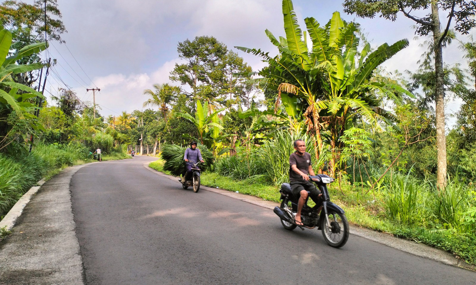 BUTUH PJU: Jalur Tejowangi &ndash; Tambaksari, Kecamatan Purwodaadi, yang membutuhkan penambahan PJU. Hal ini untuk meminimalisir risiko kecelakaan dan aksi kriminalitas saat malam.